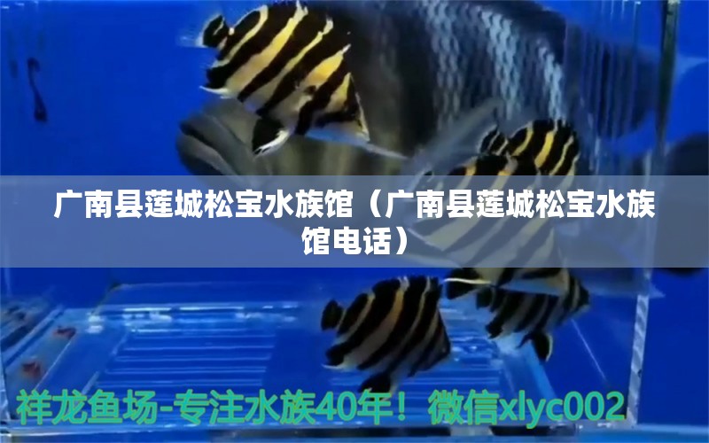 广南县莲城松宝水族馆（广南县莲城松宝水族馆电话） 全国水族馆企业名录