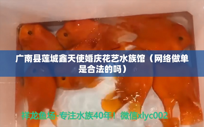 广南县莲城鑫天使婚庆花艺水族馆（网络做单是合法的吗） 全国水族馆企业名录