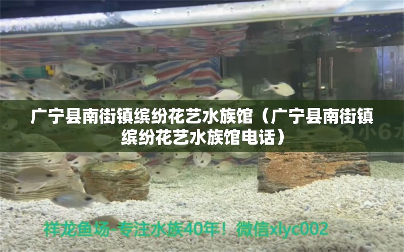 广宁县南街镇缤纷花艺水族馆（广宁县南街镇缤纷花艺水族馆电话）