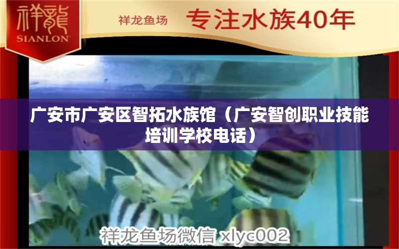 广安市广安区智拓水族馆（广安智创职业技能培训学校电话）