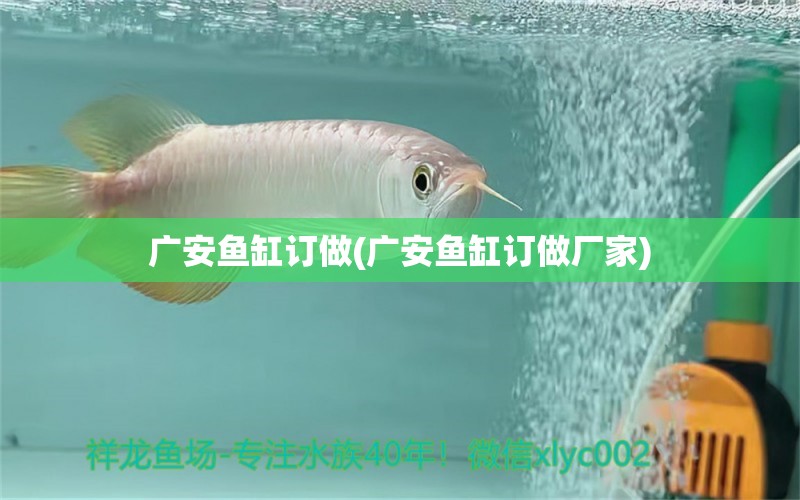 广安鱼缸订做(广安鱼缸订做厂家) 水族杂谈