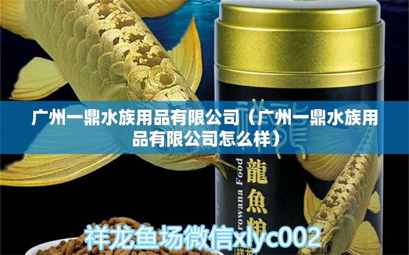 广州一鼎水族用品有限公司（广州一鼎水族用品有限公司怎么样） 水族用品