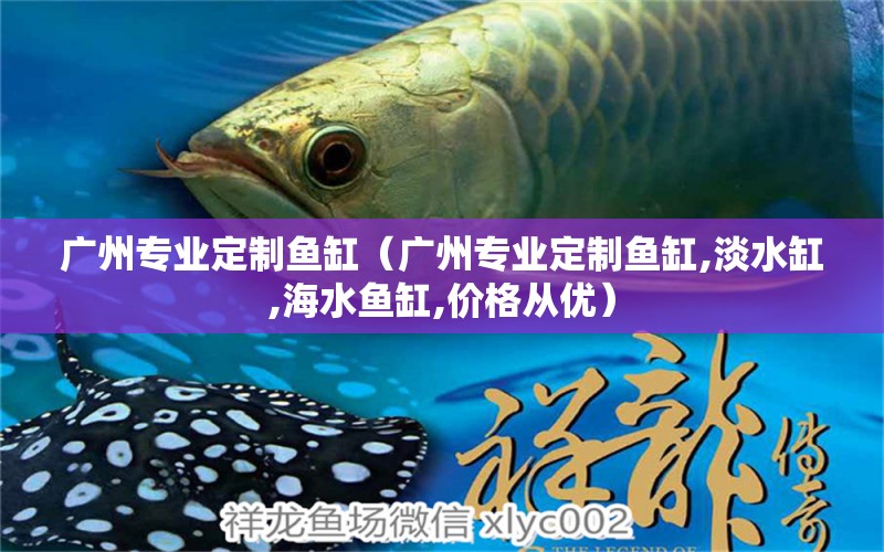 广州专业定制鱼缸（广州专业定制鱼缸,淡水缸,海水鱼缸,价格从优）