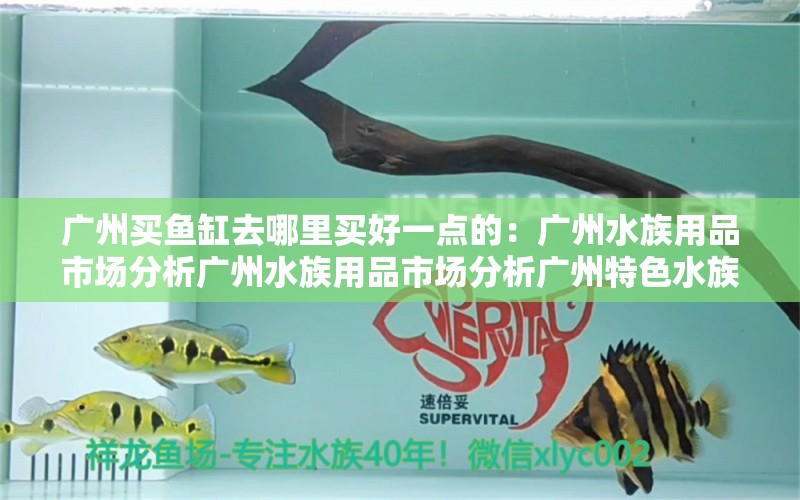 广州买鱼缸去哪里买好一点的：广州水族用品市场分析广州水族用品市场分析广州特色水族馆 广州水族批发市场 第2张