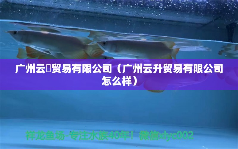 广州云昇贸易有限公司（广州云升贸易有限公司怎么样） 全国水族馆企业名录