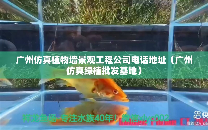 广州仿真植物墙景观工程公司电话地址（广州仿真绿植批发基地） 梦幻雷龙鱼 第1张