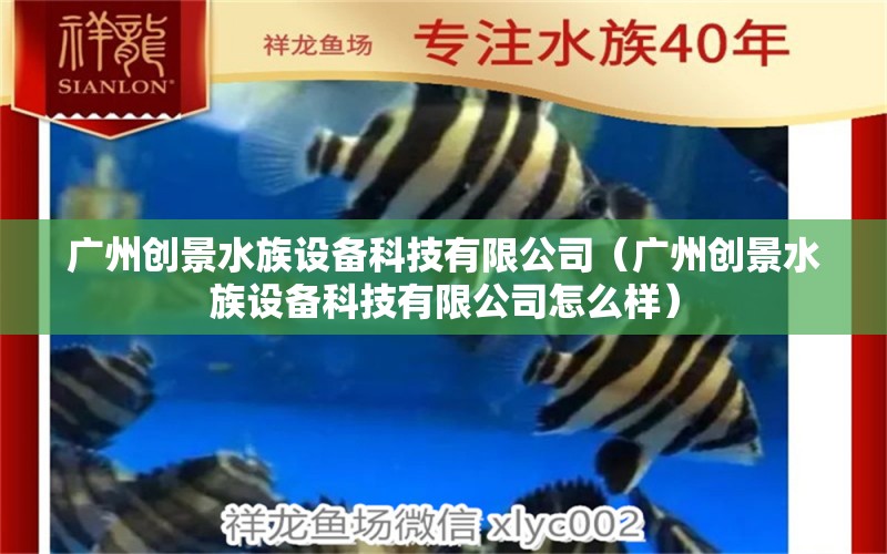 广州创景水族设备科技有限公司（广州创景水族设备科技有限公司怎么样）