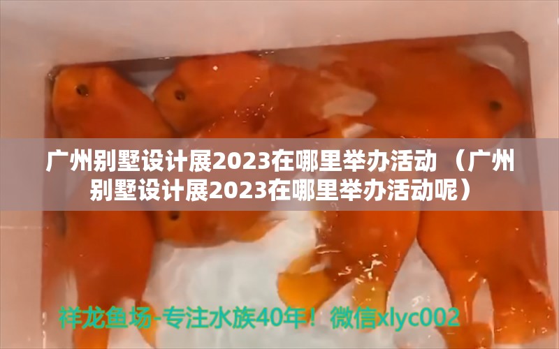 广州别墅设计展2023在哪里举办活动 （广州别墅设计展2023在哪里举办活动呢）