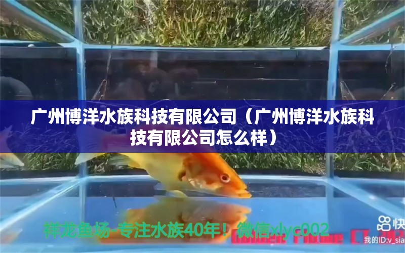 广州博洋水族科技有限公司（广州博洋水族科技有限公司怎么样）