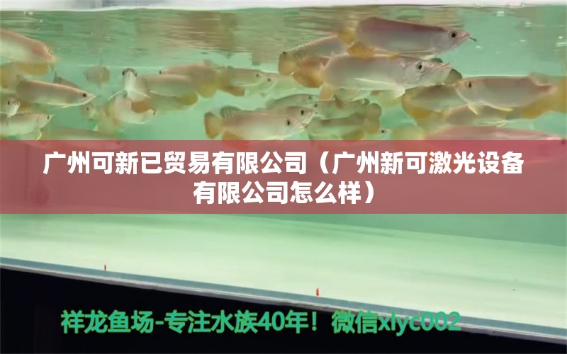 广州可新已贸易有限公司（广州新可激光设备有限公司怎么样） 全国水族馆企业名录