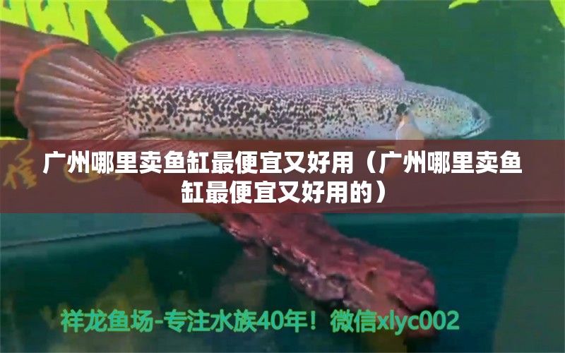 广州哪里卖鱼缸最便宜又好用（广州哪里卖鱼缸最便宜又好用的）