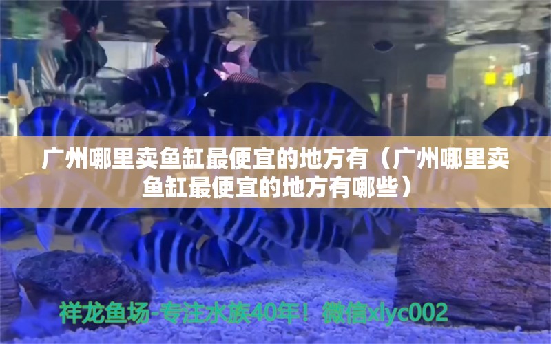 广州哪里卖鱼缸最便宜的地方有（广州哪里卖鱼缸最便宜的地方有哪些）