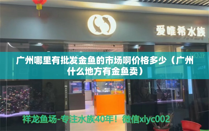 广州哪里有批发金鱼的市场啊价格多少（广州什么地方有金鱼卖）