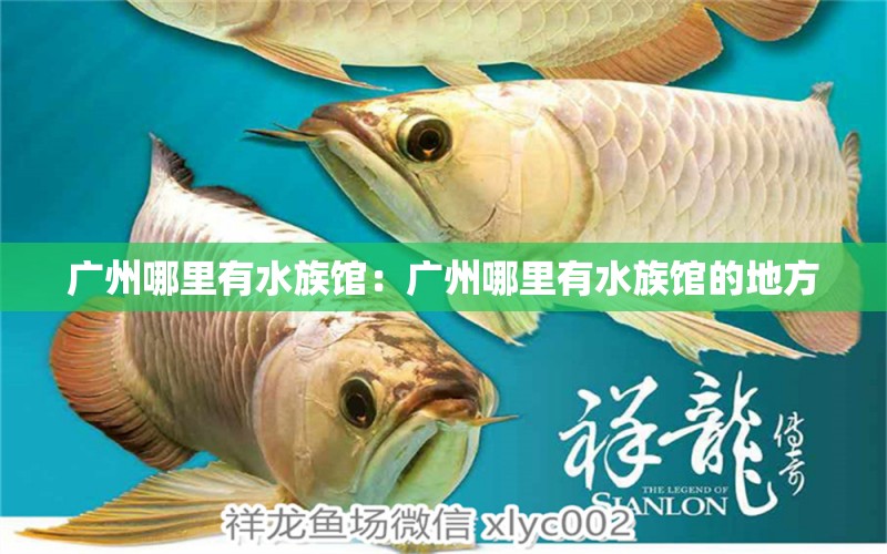 广州哪里有水族馆：广州哪里有水族馆的地方