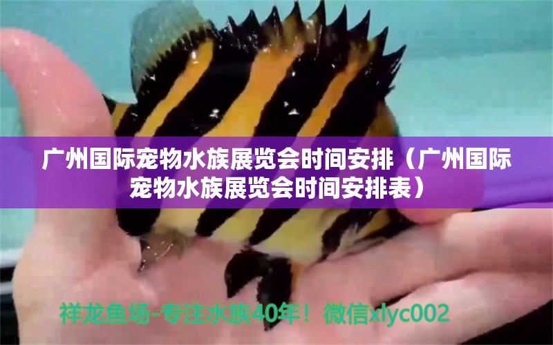 广州国际宠物水族展览会时间安排（广州国际宠物水族展览会时间安排表）