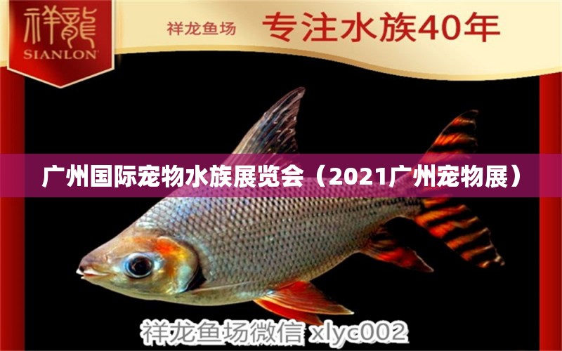 广州国际宠物水族展览会（2021广州宠物展） 水族展会