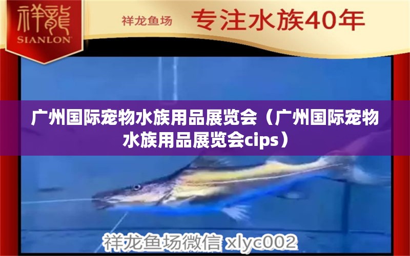 广州国际宠物水族用品展览会（广州国际宠物水族用品展览会cips）