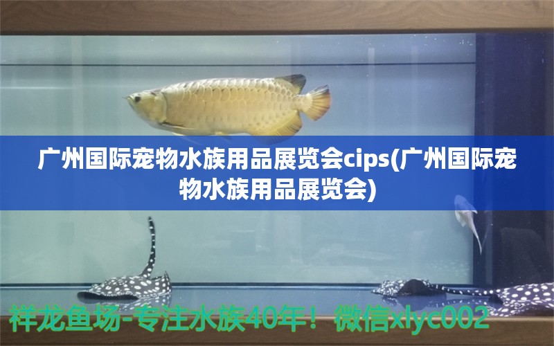 广州国际宠物水族用品展览会cips(广州国际宠物水族用品展览会)