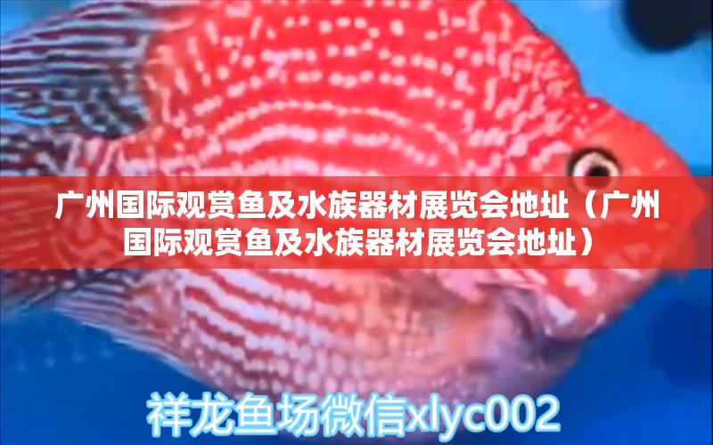 广州国际观赏鱼及水族器材展览会地址（广州国际观赏鱼及水族器材展览会地址）