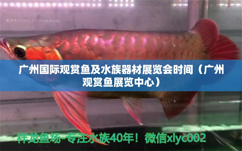 广州国际观赏鱼及水族器材展览会时间（广州观赏鱼展览中心）