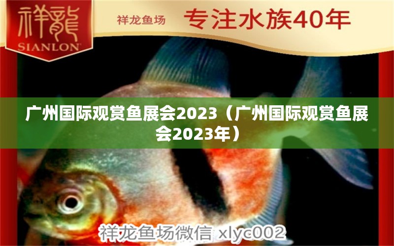 广州国际观赏鱼展会2023（广州国际观赏鱼展会2023年）