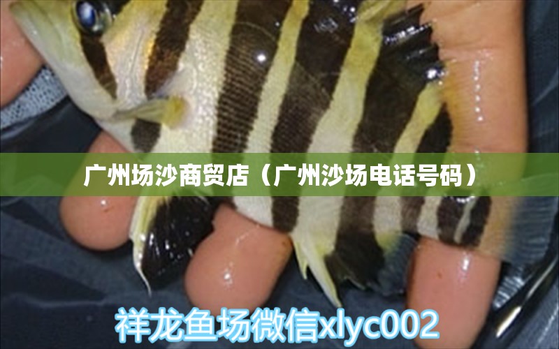 广州场沙商贸店（广州沙场电话号码） 全国水族馆企业名录