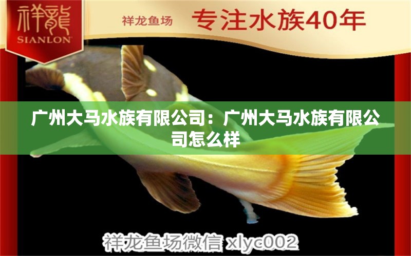 广州大马水族有限公司：广州大马水族有限公司怎么样 全国水族馆企业名录