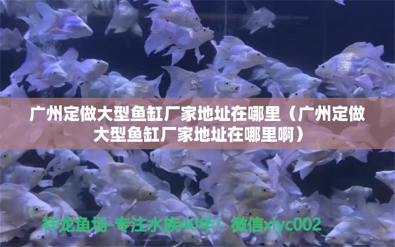 广州定做大型鱼缸厂家地址在哪里（广州定做大型鱼缸厂家地址在哪里啊）