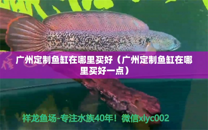 广州定制鱼缸在哪里买好（广州定制鱼缸在哪里买好一点） 祥龙水族医院