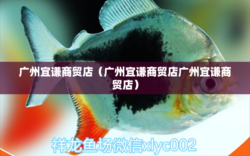 广州宜谦商贸店（广州宜谦商贸店广州宜谦商贸店） 水族周边 第1张