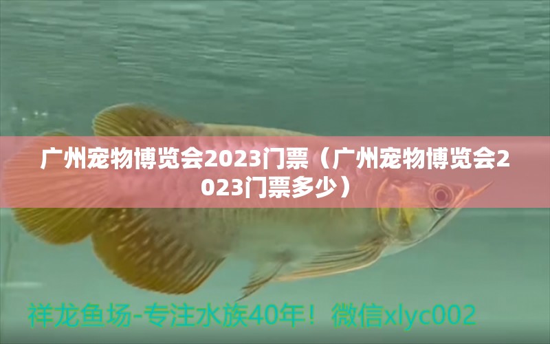 广州宠物博览会2023门票（广州宠物博览会2023门票多少）