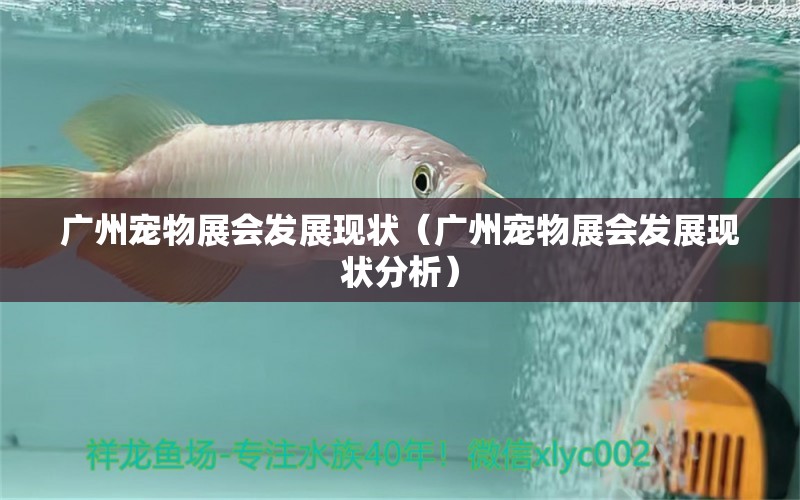 广州宠物展会发展现状（广州宠物展会发展现状分析） 广州水族批发市场