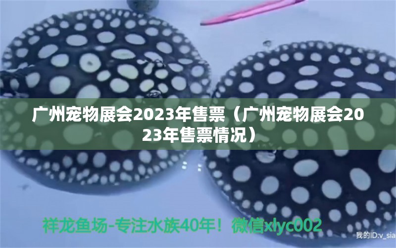 广州宠物展会2023年售票（广州宠物展会2023年售票情况）
