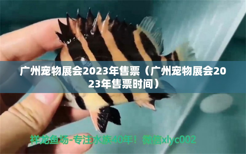 广州宠物展会2023年售票（广州宠物展会2023年售票时间）