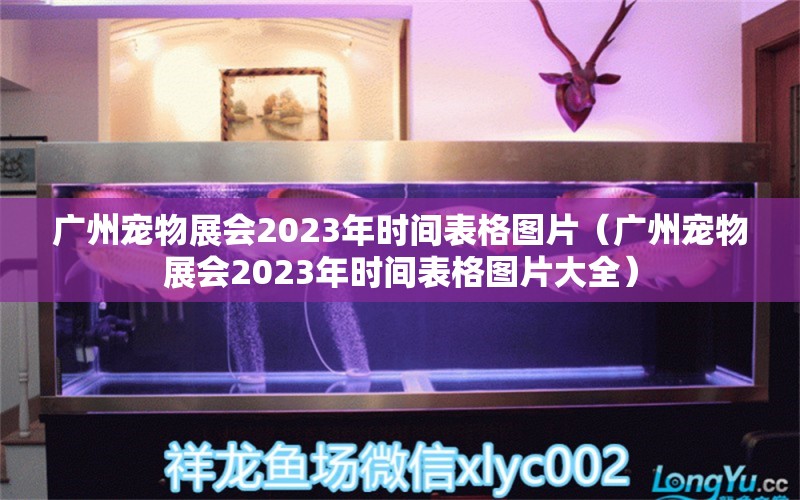 广州宠物展会2023年时间表格图片（广州宠物展会2023年时间表格图片大全）