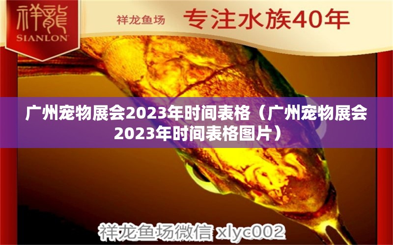 广州宠物展会2023年时间表格（广州宠物展会2023年时间表格图片）