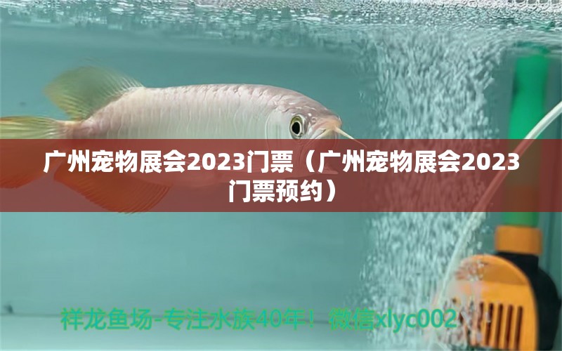 广州宠物展会2023门票（广州宠物展会2023门票预约）