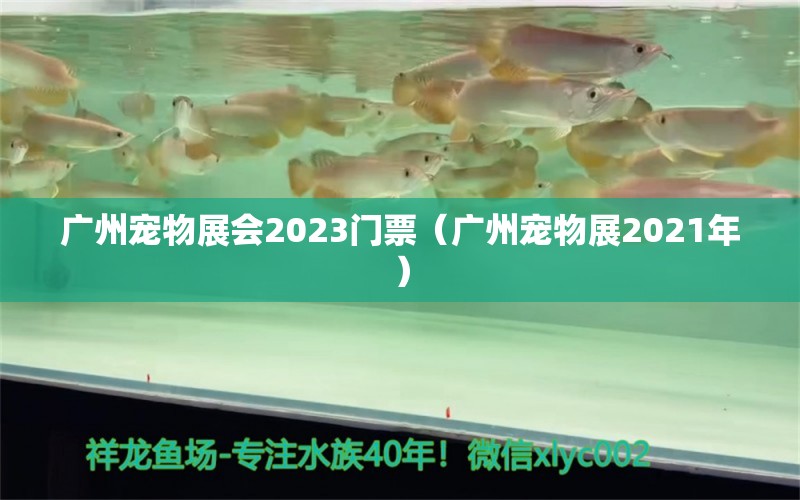 广州宠物展会2023门票（广州宠物展2021年） 观赏鱼