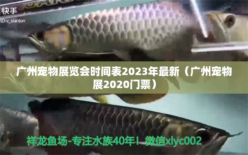 广州宠物展览会时间表2023年最新（广州宠物展2020门票）