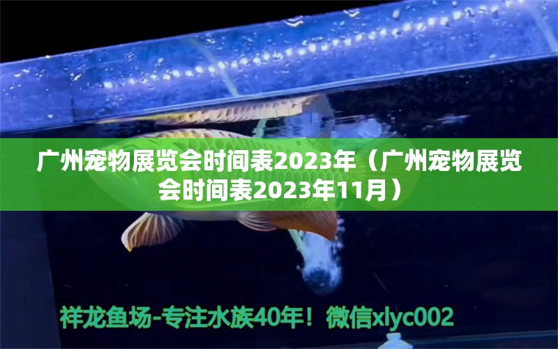 广州宠物展览会时间表2023年（广州宠物展览会时间表2023年11月）