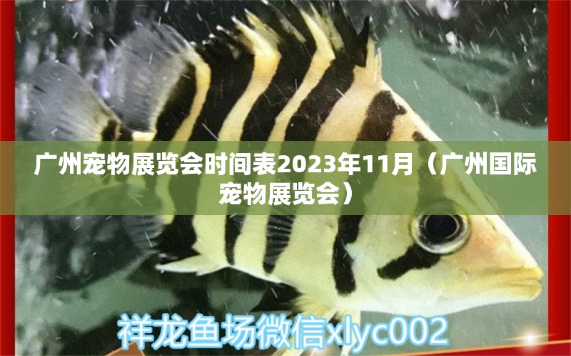 广州宠物展览会时间表2023年11月（广州国际宠物展览会）