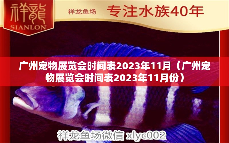 广州宠物展览会时间表2023年11月（广州宠物展览会时间表2023年11月份） 广州水族批发市场