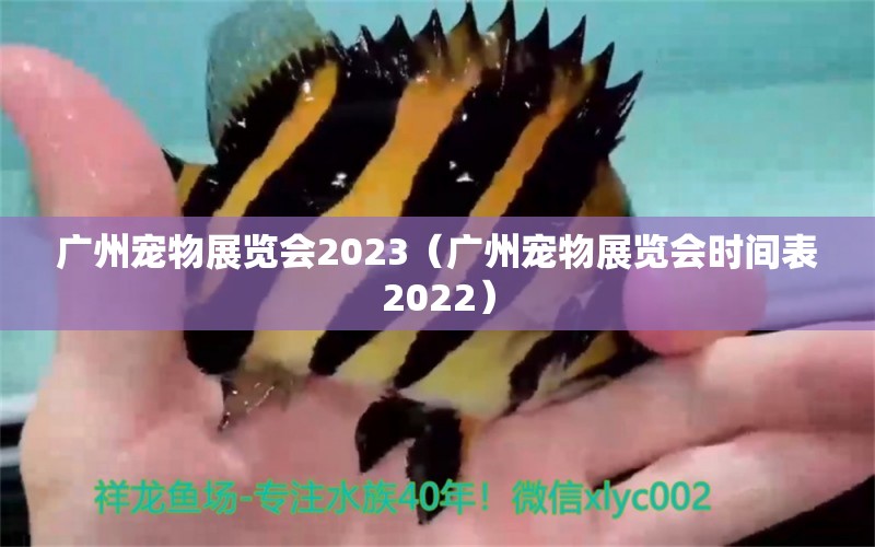 广州宠物展览会2023（广州宠物展览会时间表2022） 观赏鱼