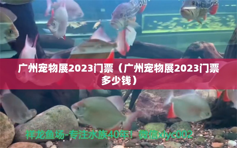 广州宠物展2023门票（广州宠物展2023门票多少钱）