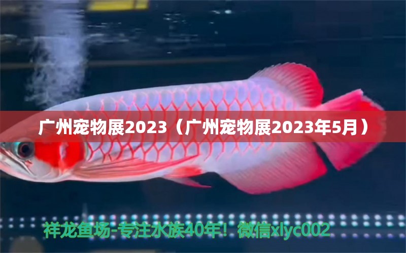 广州宠物展2023（广州宠物展2023年5月）