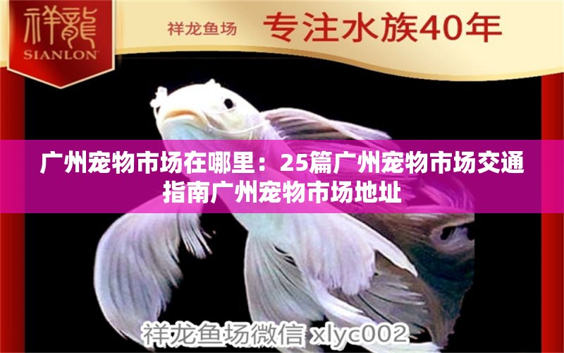 广州宠物市场在哪里：25篇广州宠物市场交通指南广州宠物市场地址