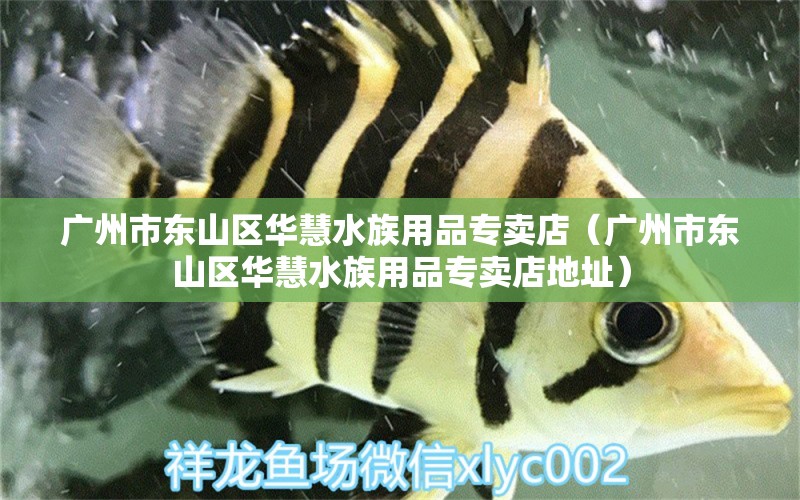 广州市东山区华慧水族用品专卖店（广州市东山区华慧水族用品专卖店地址） 水族用品