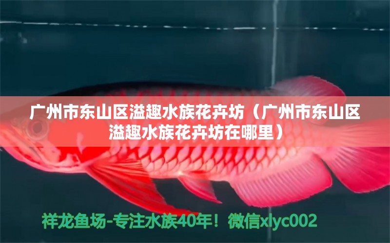 广州市东山区溢趣水族花卉坊（广州市东山区溢趣水族花卉坊在哪里） 全国水族馆企业名录