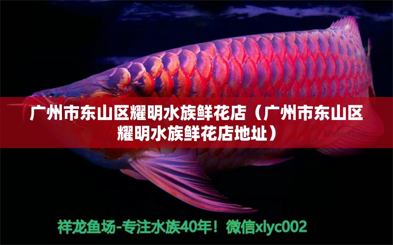 广州市东山区耀明水族鲜花店（广州市东山区耀明水族鲜花店地址） 全国水族馆企业名录