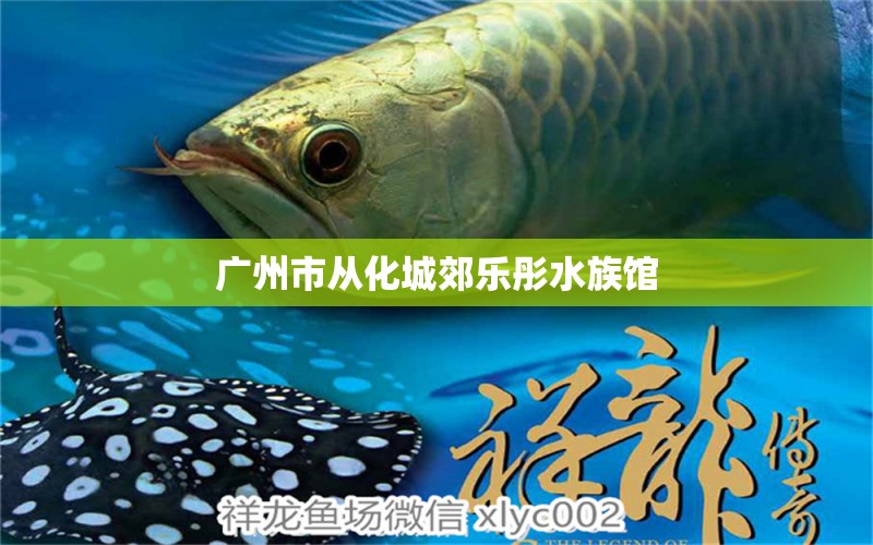 广州市从化城郊乐彤水族馆